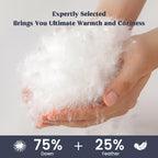 Lightweight Down Blanket